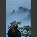 听涛