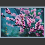 雨中梅花