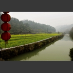 春到农村4