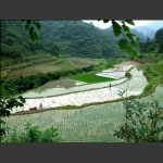 龙凤梯田的耕耘者（八）