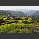美丽山村