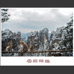 猴趣4