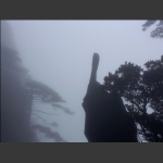 仙人指路