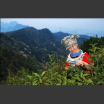 高山茶韵