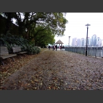 这是秋风扫落叶？还是春风吹又生！