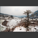 梯田雪景3