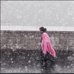 雪中行