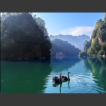 天鹅巡湖