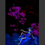 魔界狐仙