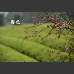春色