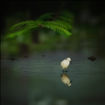 春
