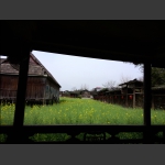 古韵遐思