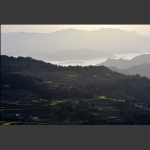 龙凤风景2
