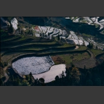 鞋底田园