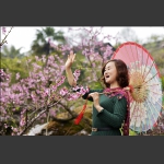 三月桃花相映红