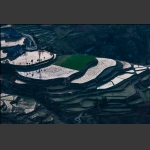田园