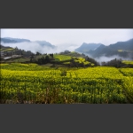 龙凤梯田