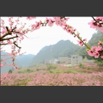 山村巨变