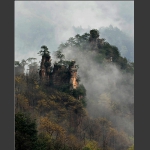 雨后天子山