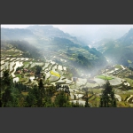 龙凤小景