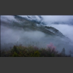 雾锁四门岩