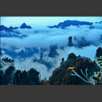 还是天子山.