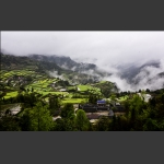 雨后龙凤