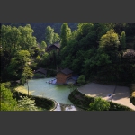 春风又绿龙凤村