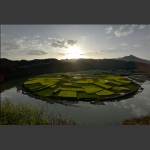 田 园