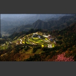 山后田园