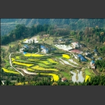 农家小院