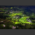色版小景3