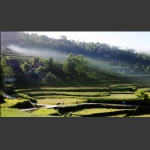 晨光