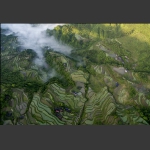 梯田画卷（组图一）