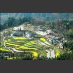 山后的田园风光