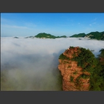 佛光洒龙凤