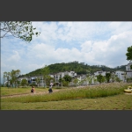 美丽新村