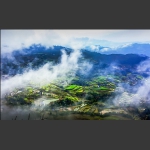 云雾梯田