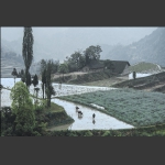 小景
