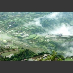 龙凤晨景2