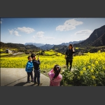龙凤记忆1