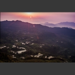 日照龙凤4