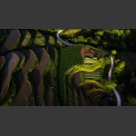 乡间田园