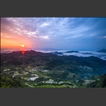 龙凤朝阳