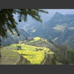 龙凤梯田