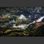 云雾小景1