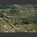 龙凤梯田