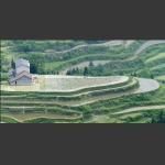 龙凤梯田