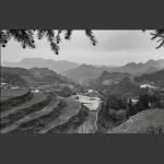 龙凤村