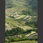 龙凤梯田